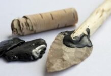 never-mind-band-aids,-neanderthals-had-antiseptic-birch-tar