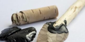 never-mind-band-aids,-neanderthals-had-antiseptic-birch-tar