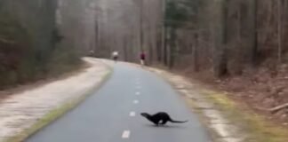 woman-viciously-attacked-by-otter-while-cheering-on-friends-at-marathon-(video)