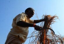 india-could-be-the-biggest-casualty-of-the-iran-war