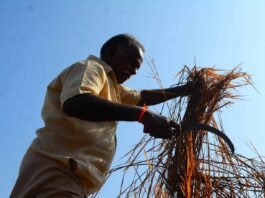 india-could-be-the-biggest-casualty-of-the-iran-war