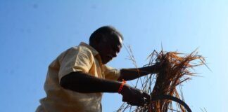 india-could-be-the-biggest-casualty-of-the-iran-war