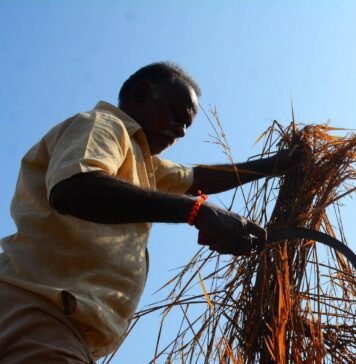 india-could-be-the-biggest-casualty-of-the-iran-war