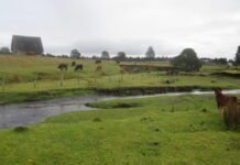 monte-verde-site-gets-a-new-date,-but-the-big-picture-doesn’t-change