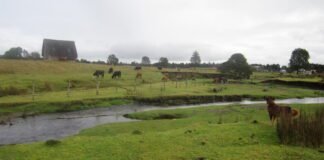 monte-verde-site-gets-a-new-date,-but-the-big-picture-doesn’t-change