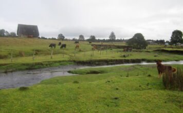 monte-verde-site-gets-a-new-date,-but-the-big-picture-doesn’t-change