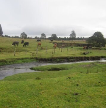 monte-verde-site-gets-a-new-date,-but-the-big-picture-doesn’t-change