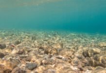 Mining the deep ocean mining-the-deep-ocean