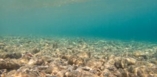 mining-the-deep-ocean