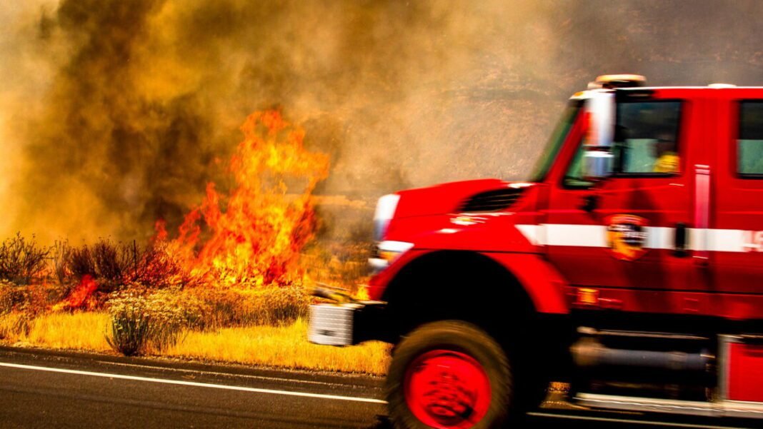 study-says-roads-bring-more-fire-to-forests;-usda-wants-more-roads-to-fight-fires