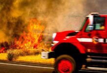 study-says-roads-bring-more-fire-to-forests;-usda-wants-more-roads-to-fight-fires
