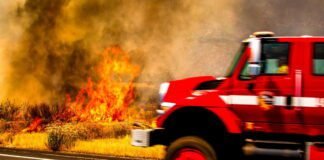 study-says-roads-bring-more-fire-to-forests;-usda-wants-more-roads-to-fight-fires