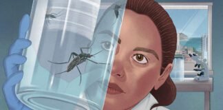 the-frantic,-high-tech-fight-to-stop-climate-fueled-dengue-fever