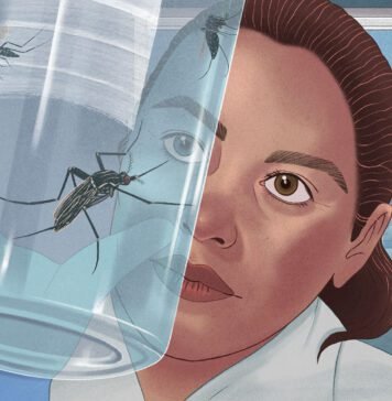 the-frantic,-high-tech-fight-to-stop-climate-fueled-dengue-fever