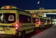 Rafah crossing partially reopens for Gaza patients rafah-crossing-partially-reopens-for-gaza-patients