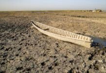 antibiotic-resistance-among-germs-swells-during-droughts,-study-suggests