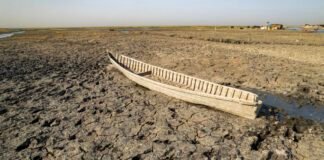 antibiotic-resistance-among-germs-swells-during-droughts,-study-suggests