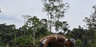 how-does-trackaipac-actually-track-aipac?