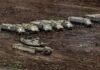 israeli-army-expands-ground-offensive-in-southern-lebanon