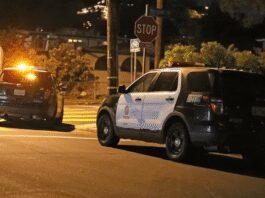 pop-star’s-stalker-dies-in-horrific-train-accident