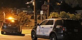 pop-star’s-stalker-dies-in-horrific-train-accident