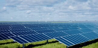 ‘we’re-harvesting-the-sun’:-a-huge-solar-project-grows-in-california