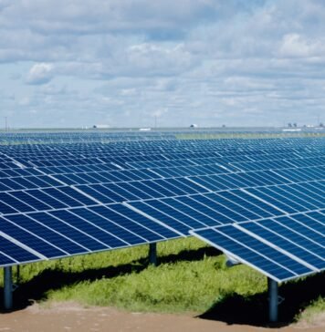 ‘we’re-harvesting-the-sun’:-a-huge-solar-project-grows-in-california