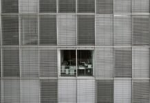 Working from home is linked to higher fertility, new study finds working-from-home-is-linked-to-higher-fertility,-new-study-finds