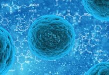 microbes-coordinate-activity-to-reduce-competition,-israeli-researchers-discover