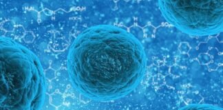 microbes-coordinate-activity-to-reduce-competition,-israeli-researchers-discover