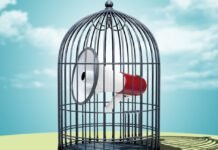 us-falls-below-ukraine-in-press-freedom-as-global-autocracy-takes-hold