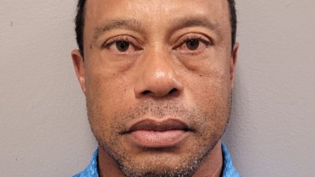 sweaty,-glassy-eyed-tiger-woods-blames-cell-phone-use-for-his-car-crash