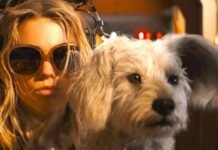 it’s-a-race-against-time-to-save-krypto-in-supergirl-trailer