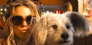 it’s-a-race-against-time-to-save-krypto-in-supergirl-trailer