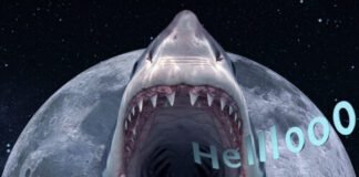 a-word-from-editor-moonshark-about-artemis-ii