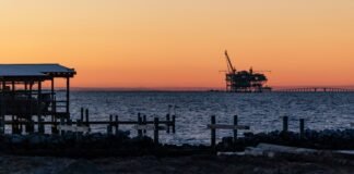 trump’s-‘god-squad’-blocks-endangered-species-protections-in-the-gulf-of-mexico