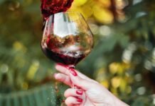 switzerland-proposes-wine-import-restrictions-amid-protectionism-debate