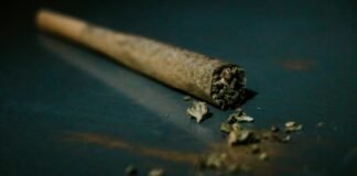 cdu/csu-calls-for-cannabis-rethink-2-years-in