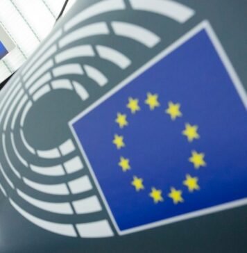 wto-talks-collapse-draws-warning-from-eu-lawmaker-over-global-trade-risks