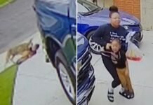 wild-coyote-attacks-4-year-old-in-family-driveway-(video)
