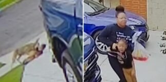 wild-coyote-attacks-4-year-old-in-family-driveway-(video)