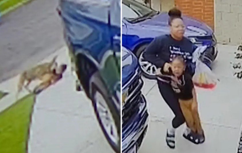 wild-coyote-attacks-4-year-old-in-family-driveway-(video) wild-coyote-attacks-4-year-old-in-family-driveway-(video)