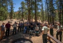 Forest Service overhaul sows confusion and concern forest-service-overhaul-sows-confusion-and-concern