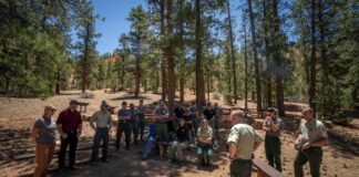 forest-service-overhaul-sows-confusion-and-concern