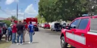 ‘killer-bee’-attack-leaves-150-injured,-50-hospitalized