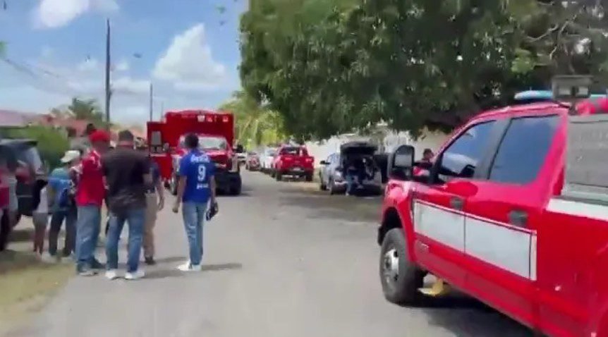 ‘killer-bee’-attack-leaves-150-injured,-50-hospitalized ‘killer-bee’-attack-leaves-150-injured,-50-hospitalized