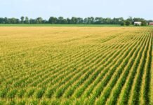 climate-experts-say-spring-is-coming-earlier.-how-will-that-affect-agriculture-and-ecosystems?