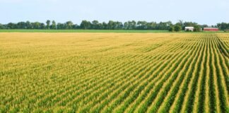 climate-experts-say-spring-is-coming-earlier.-how-will-that-affect-agriculture-and-ecosystems?