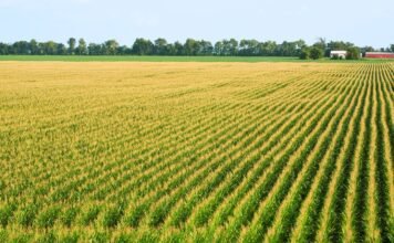 climate-experts-say-spring-is-coming-earlier.-how-will-that-affect-agriculture-and-ecosystems?