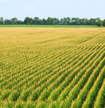 climate-experts-say-spring-is-coming-earlier.-how-will-that-affect-agriculture-and-ecosystems?